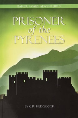 Image of Prisoner of the Pyrenees -Baker Family Adventures, Book 5