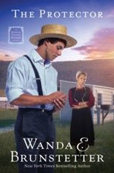 Image of The Protector: A Mifflin County Mystery – Book 1 Volume 1