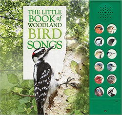 Image of The Little Book of Woodland Birdsongs ETA Oct. 2025