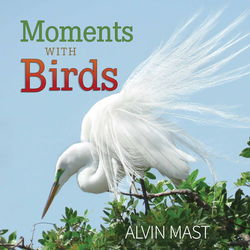 Image of Moments with Birds