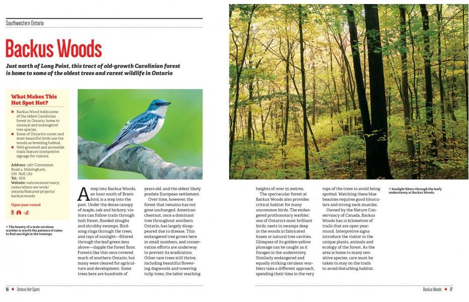 107-0033 Product Image 4