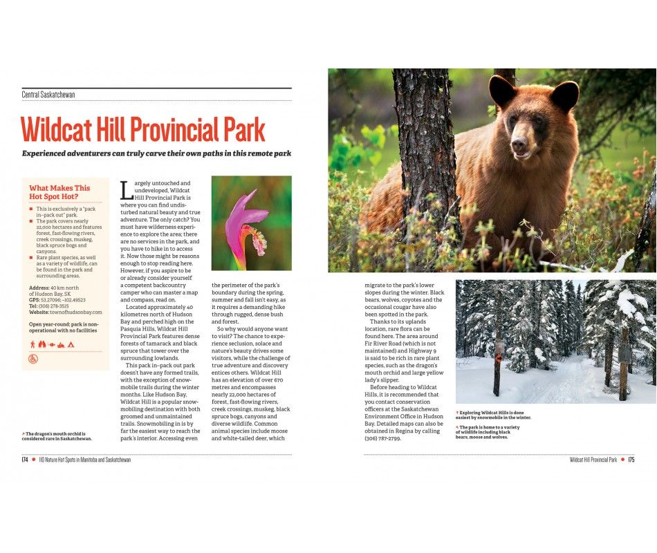 107-0039 Product Image 10