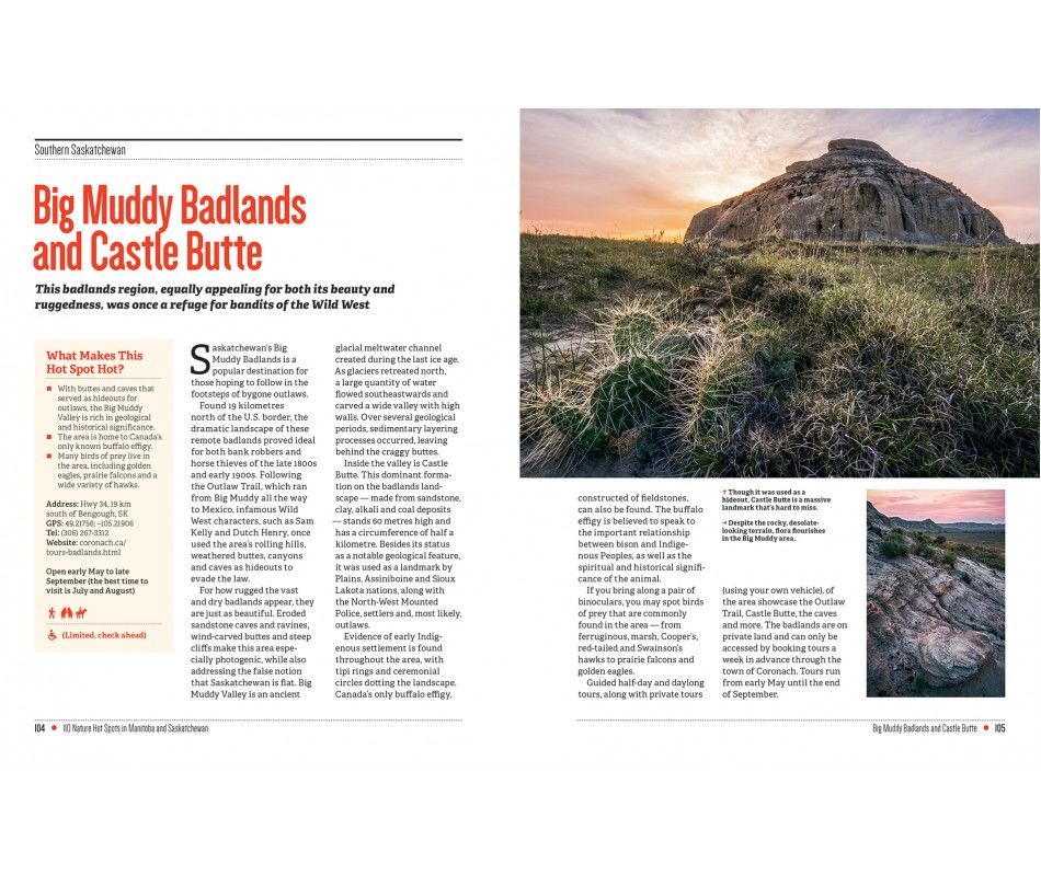 107-0039 Product Image 3