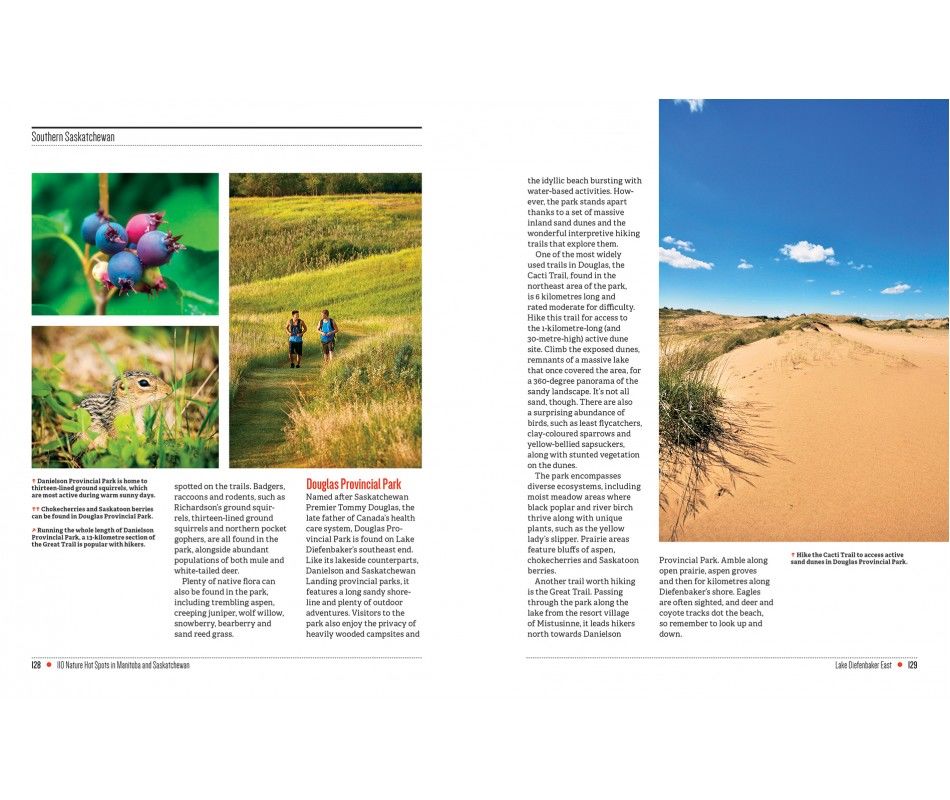 107-0039 Product Image 6