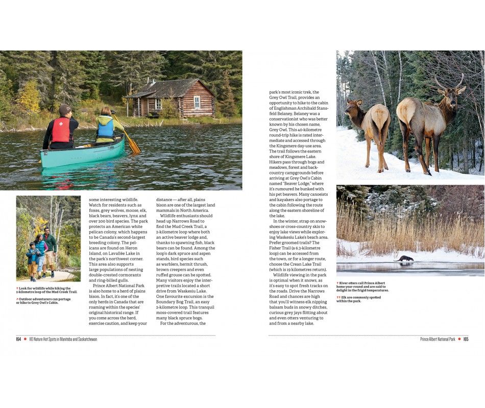 107-0039 Product Image 8