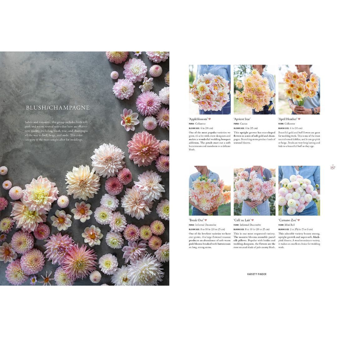 107-0046 Product Image 5