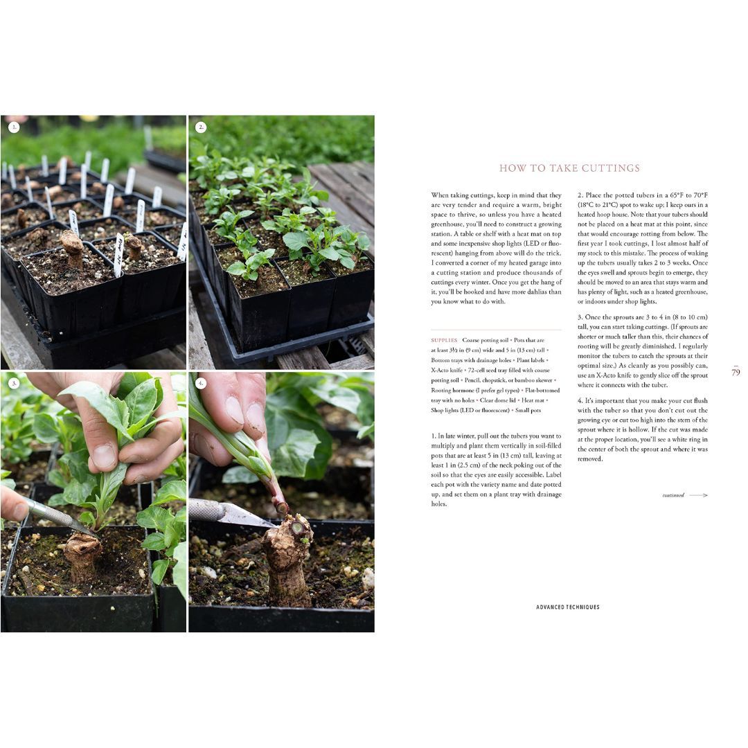 107-0046 Product Image 8