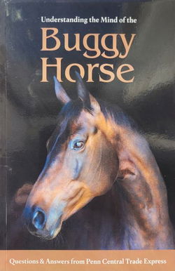 Image of Understanding the Mind of the Buggy Horse