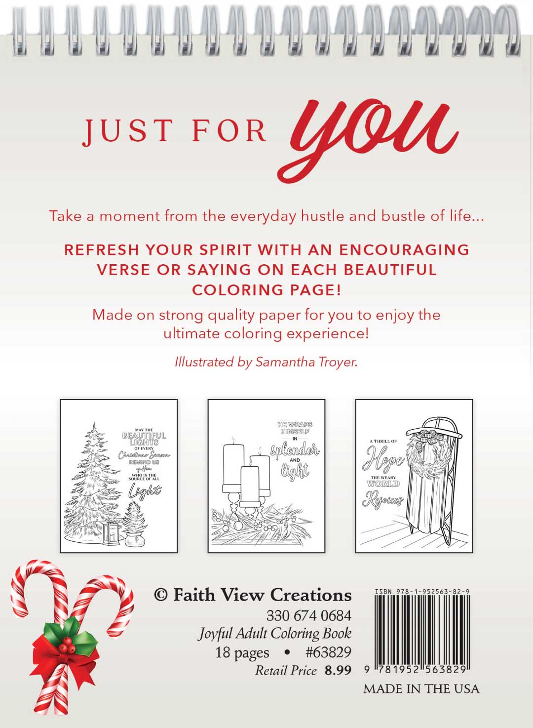 110-0049 Product Image 2