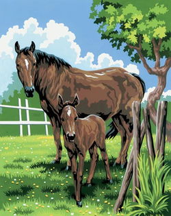 Image of Paint by Number Mini Mare & Foal