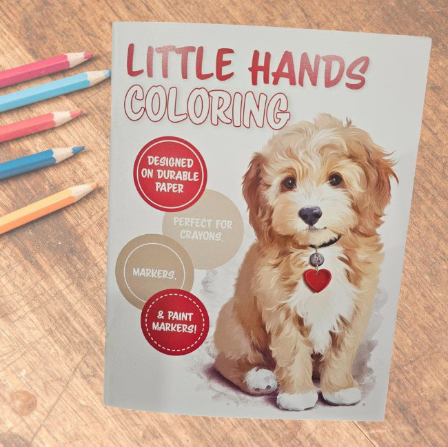Image of Little Hands Coloring Book