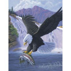 Image of Paint by Number Sanctuary Small Junior