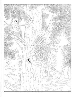 110-0460 Product Image 2