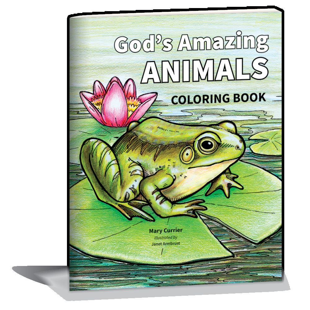 110-1485 Product Image 1