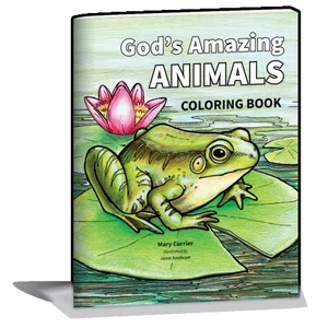 God's Amazing Animals Colouring Book