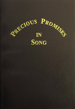 Image of Precious Promises in Song # 1 – Brown