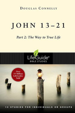 Image of John 13-21, Part 2: The Way to True Life – Lifeguide Studies