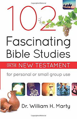 Image of 102 Fascinating Bible Studies on the New Testament