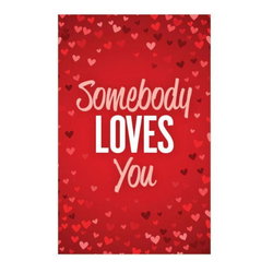 Image of Tract: Somebody Loves You – 100 Pk NKJV
