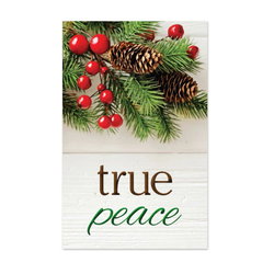 Image of Tract: True Peace – 100 Pk NKJV