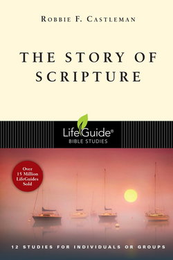 Image of Story of Scripture: The Unfolding Drama of the Bible -Lifeguide Bible Studies