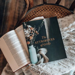 Image of The Attributes of God Bible Study