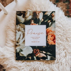 Image of Praise Psalms 91-120 Bible Study