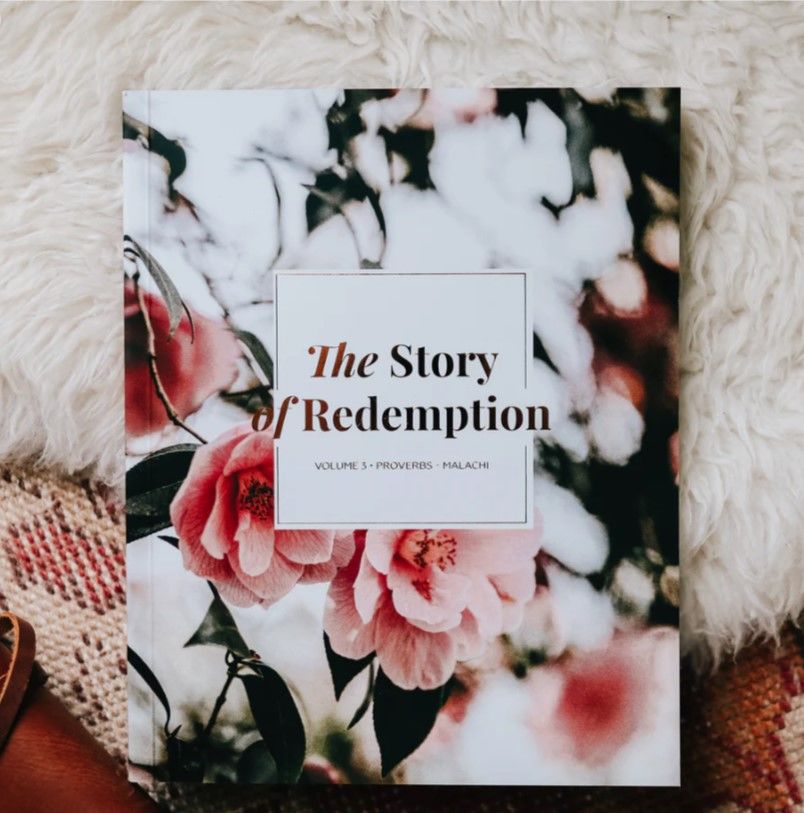 117-0256 Product Image 1