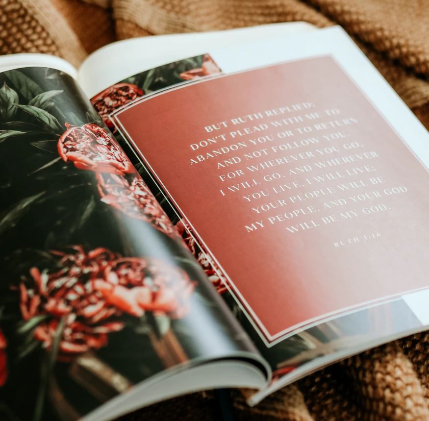 117-0260 Product Image 5