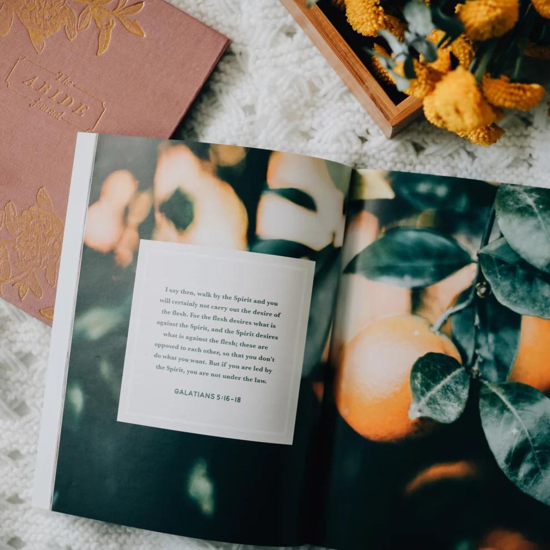 117-0264 Product Image 3