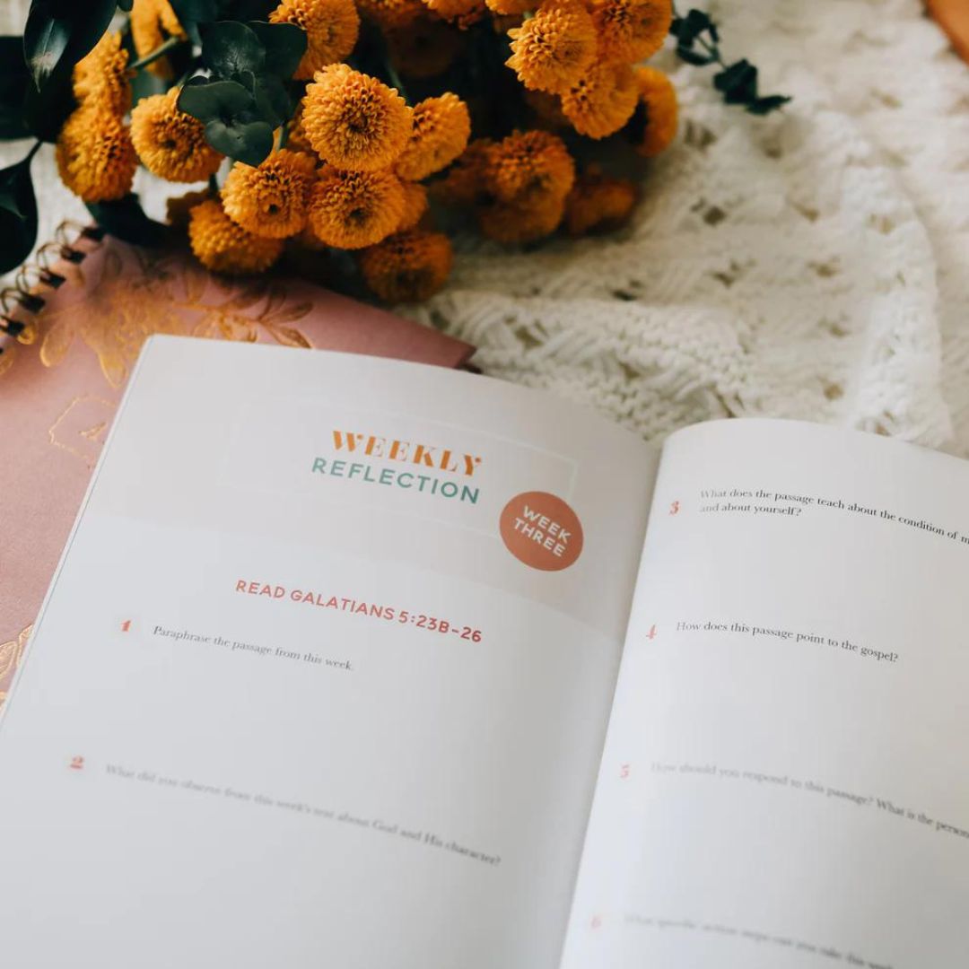 117-0264 Product Image 6