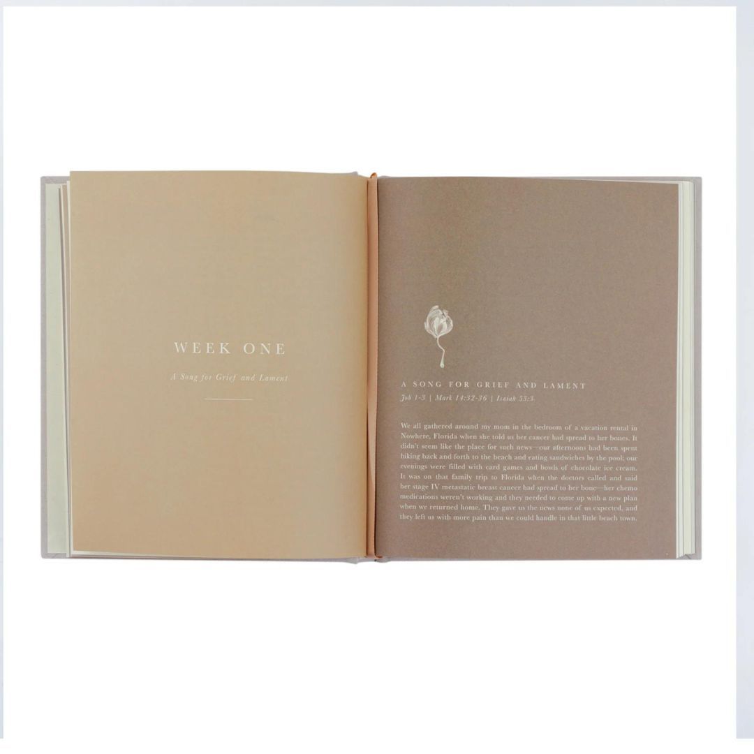 117-0267 Product Image 6