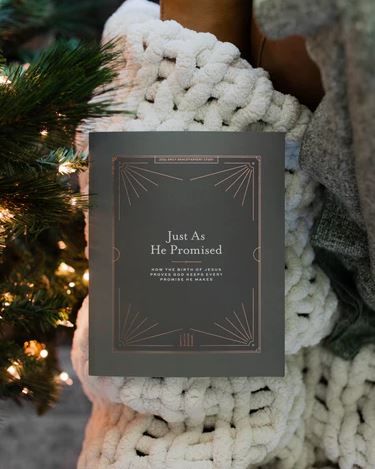 117-0273 Product Image 1