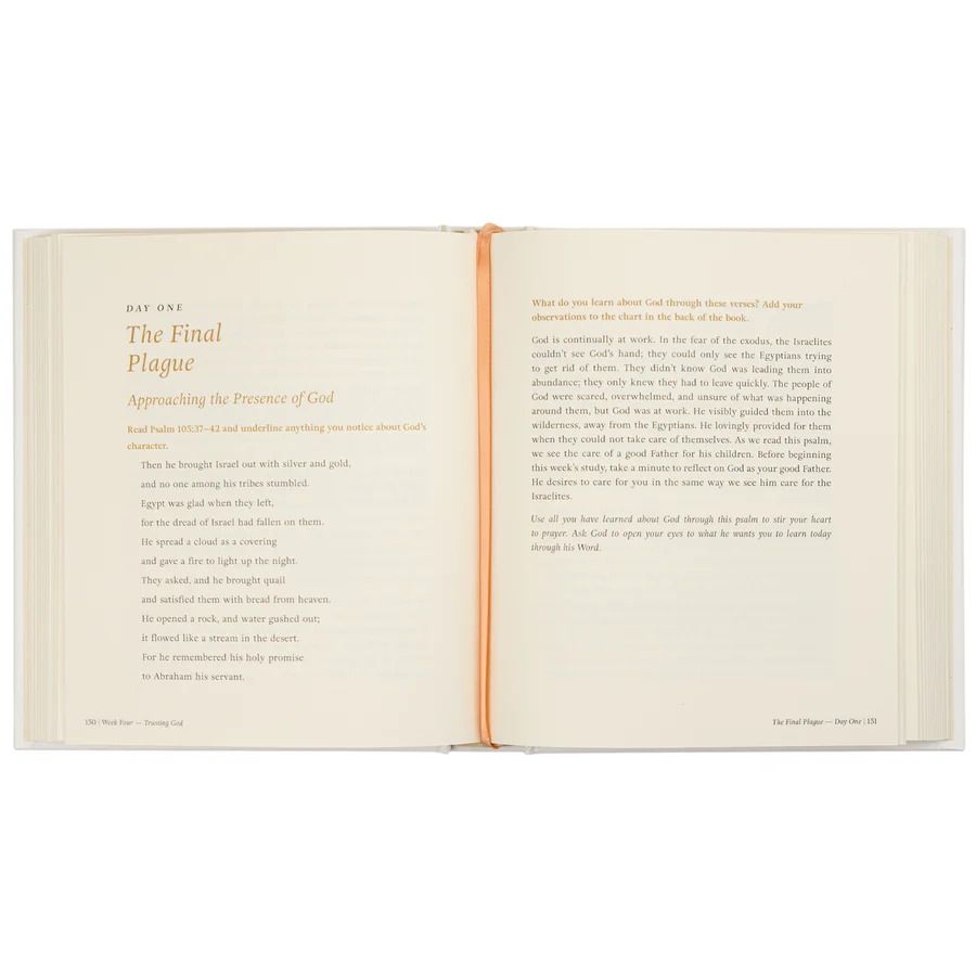 117-0288 Product Image 6