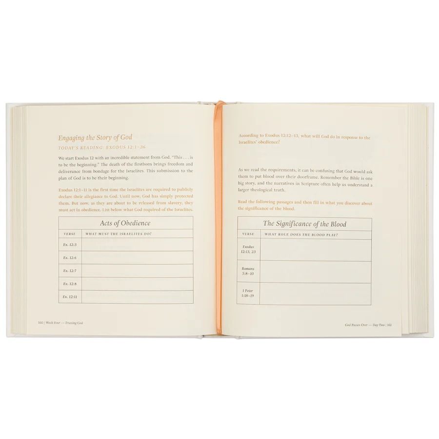 117-0288 Product Image 7