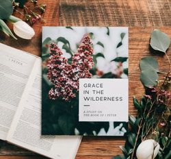Image of Grace in the Wilderness: 1 Peter Study