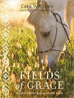 Image of Fields of Grace: Sharing Faith from the Horse Farm