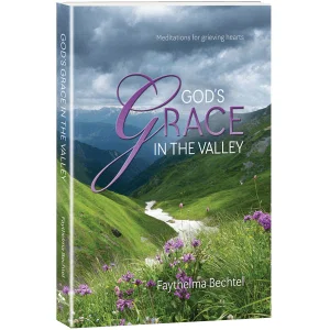 God's Grace in the Valley