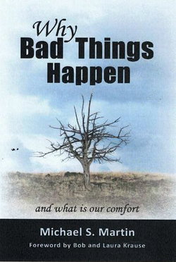 Image of Why Bad Things Happen, and what is our Comfort