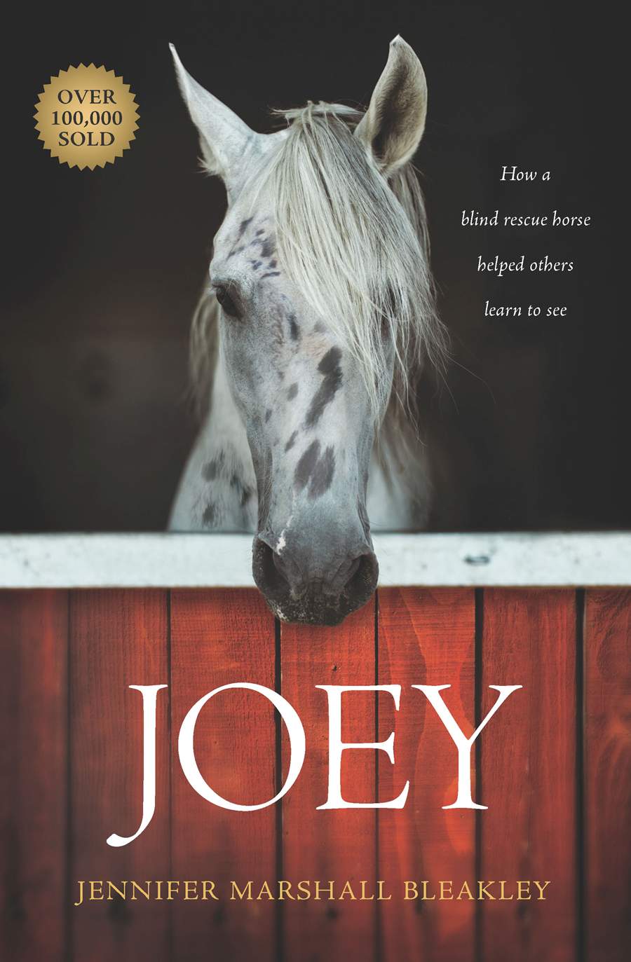 Image of Joey: How a Blind Rescue Horse Helped Others Learn to See