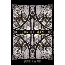Image of Son of Man: Retelling the Stories of Jesus