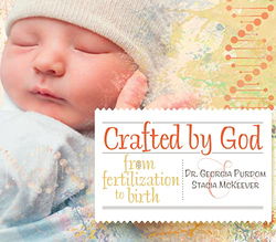 Image of Crafted by God: From Fertilization to Birth