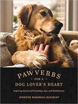 Image of Pawverbs for a Dog Lover’s Heart: Inspiring Stories