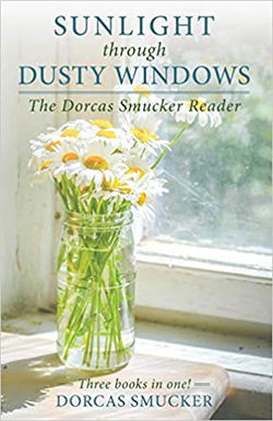 Image of Sunlight Through Dusty Windows: The Dorcas Smucker Reader