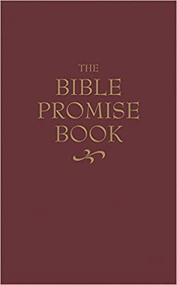 Image of KJV The Bible Promise Book