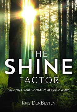 Image of SHINE FACTOR