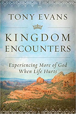 Image of Kingdom Encounters: Experiencing More of God When Life Hurts