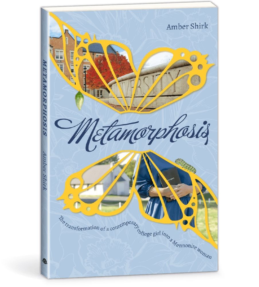 118-3379 Product Image 1