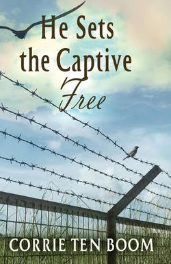 Image of He Sets the Captive Free