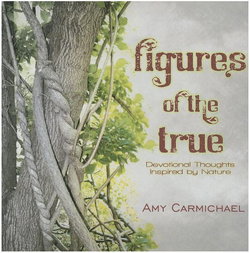 Image of Figures of the True